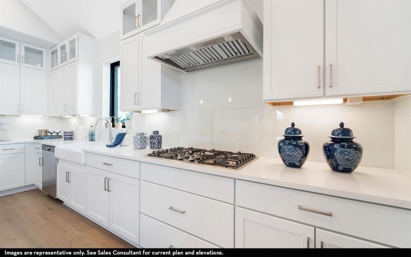 16212 Garden Drive, Celina, TX 75009, 6 Bedrooms Bedrooms, ,5 BathroomsBathrooms,Residential,For Sale,16212 Garden Drive,0,21115430