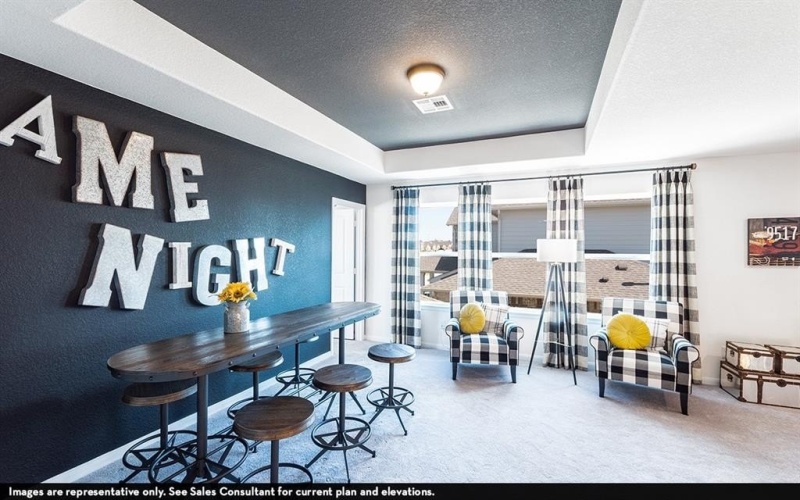 16709 Lacey Drive, Celina, TX 75009, 4 Habitaciones Habitaciones , ,2 BañosBaños,Residential,En Venta,16709 Lacey Drive,0,21115799