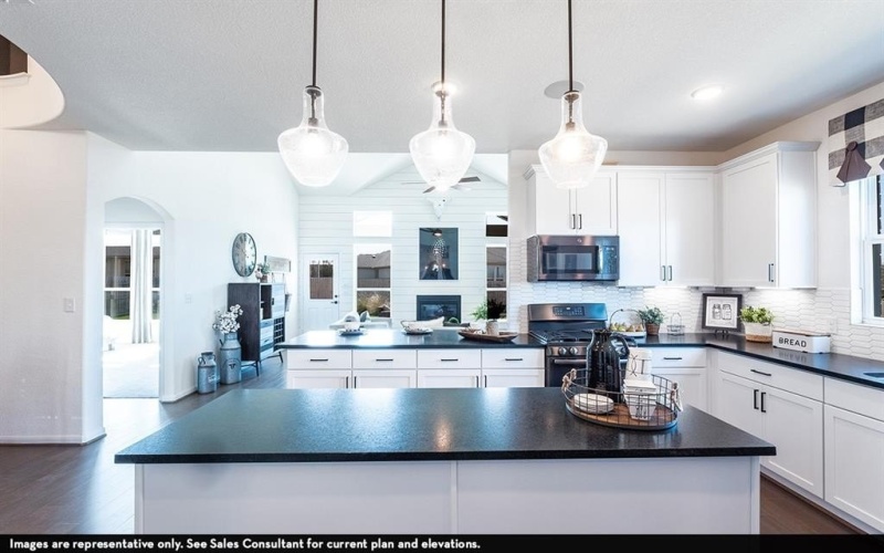 16709 Lacey Drive, Celina, TX 75009, 4 Habitaciones Habitaciones , ,2 BañosBaños,Residential,En Venta,16709 Lacey Drive,0,21115799