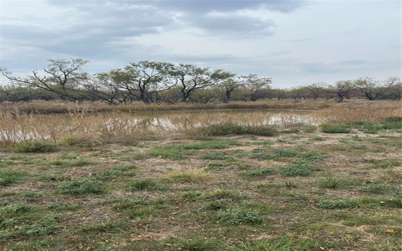 3349 FM 2652, Graham, TX 76450, 2 Bedrooms Bedrooms, ,2 BathroomsBathrooms,Residential,For Sale,3349 FM 2652,0,21114003