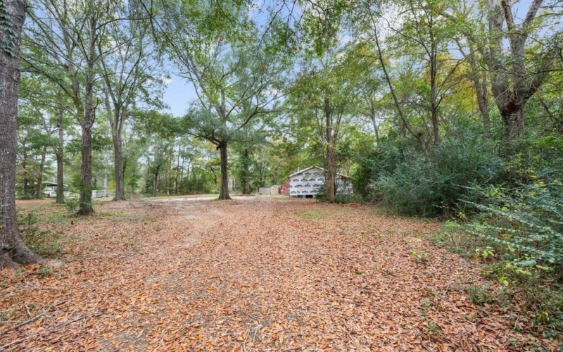 1556 FM 254 S, Jasper, TX 75951, 1 Bedroom Bedrooms, ,1 BathroomBathrooms,Residential,For Sale,1556 FM 254 S,0,5107216