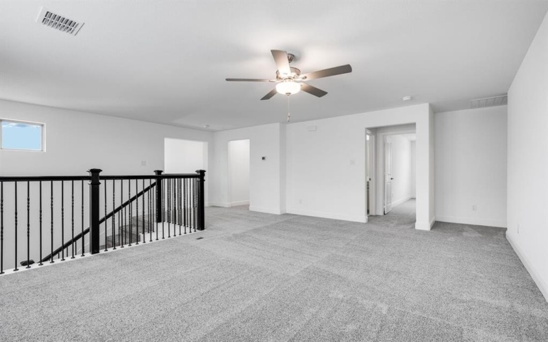 310 Trillium Street, Oak Point, TX 75068, 5 Habitaciones Habitaciones , ,5 BañosBaños,Residential,En Venta,310 Trillium Street,0,20974147