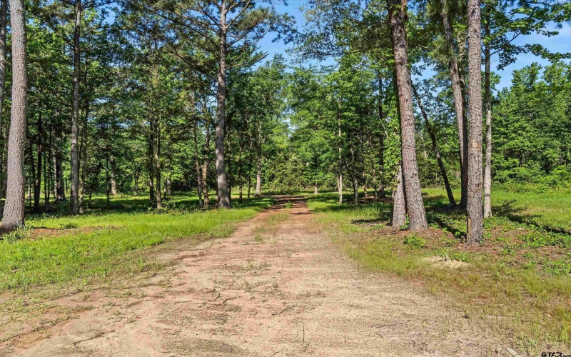 9760 Wood Chuck, Winnsboro, TX 75494, 2 Habitaciones Habitaciones , ,2 BañosBaños,Residential,En Venta,9760 Wood Chuck,25007110