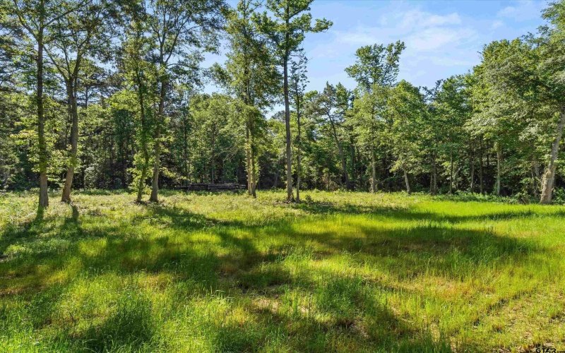 9760 Wood Chuck, Winnsboro, TX 75494, 2 Habitaciones Habitaciones , ,2 BañosBaños,Residential,En Venta,9760 Wood Chuck,25007110