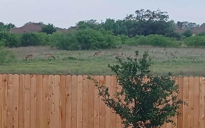 184 Cowboy Ridge, Pleasanton, TX 78064, 3 Bedrooms Bedrooms, ,2 BathroomsBathrooms,Residential,For Sale,184 Cowboy Ridge,0,21118870