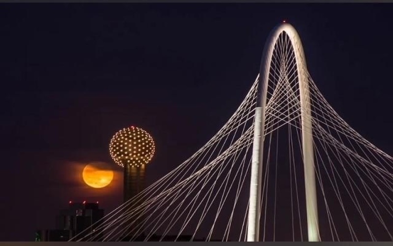 381 E Greenbriar #1402, Dallas, TX 75203, 3 Habitaciones Habitaciones , ,5 BañosBaños,Residential,En Venta,381 E Greenbriar,0,21112642