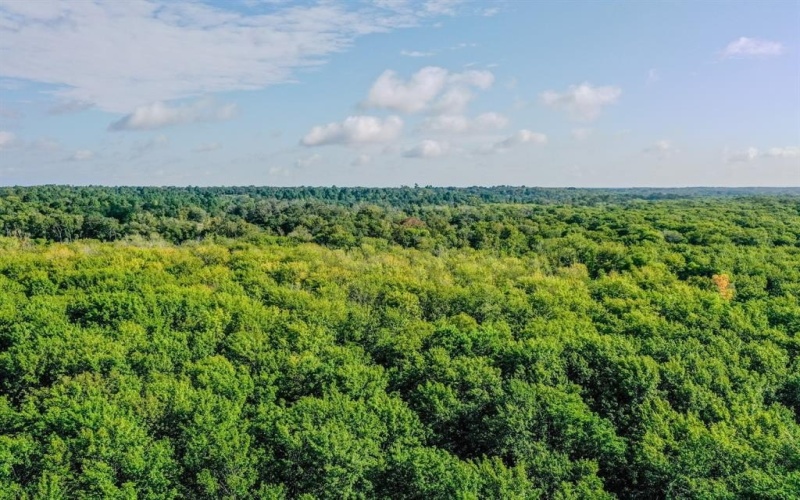 0 Private Road 1428, Centerville, TX 75833, ,Land,For Sale,0 Private Road 1428,0,21119611