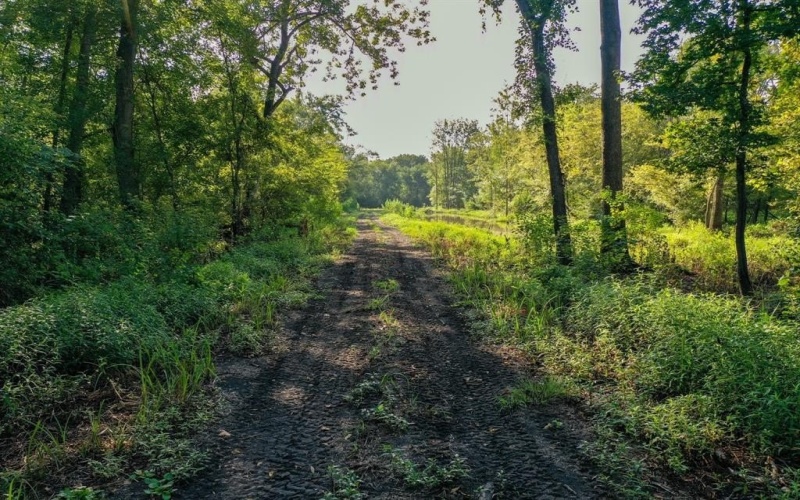 0 Private Road 1428, Centerville, TX 75833, ,Land,For Sale,0 Private Road 1428,0,21119611