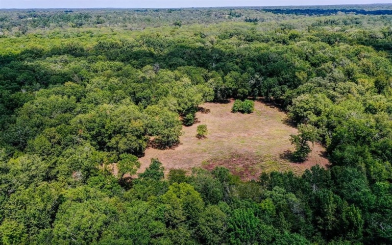 0 Private Road 1428, Centerville, TX 75833, ,Land,For Sale,0 Private Road 1428,0,21119611