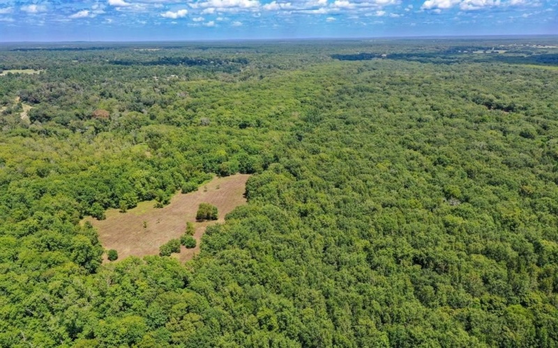 0 Private Road 1428, Centerville, TX 75833, ,Land,For Sale,0 Private Road 1428,0,21119611