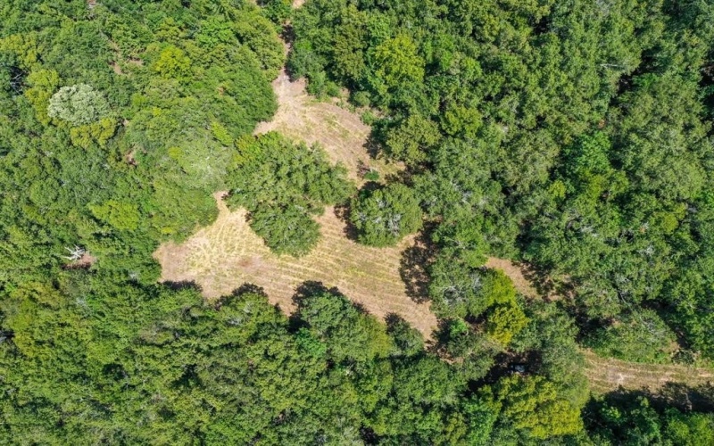 0 Private Road 1428, Centerville, TX 75833, ,Land,For Sale,0 Private Road 1428,0,21119611