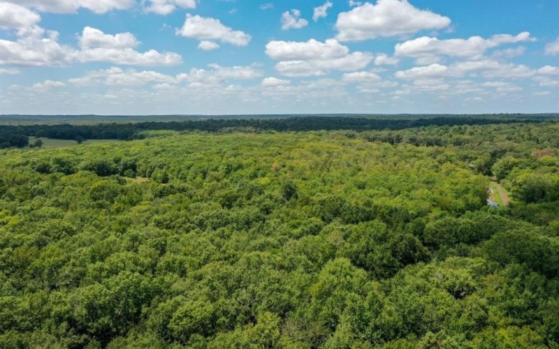 0 Private Road 1428, Centerville, TX 75833, ,Land,For Sale,0 Private Road 1428,0,21119611