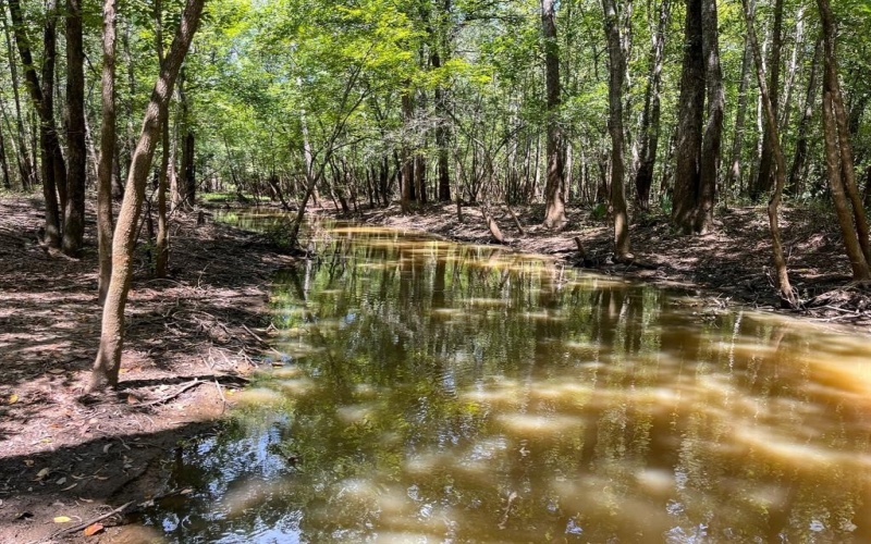 0 Private Road 1428, Centerville, TX 75833, ,Land,For Sale,0 Private Road 1428,0,21119611