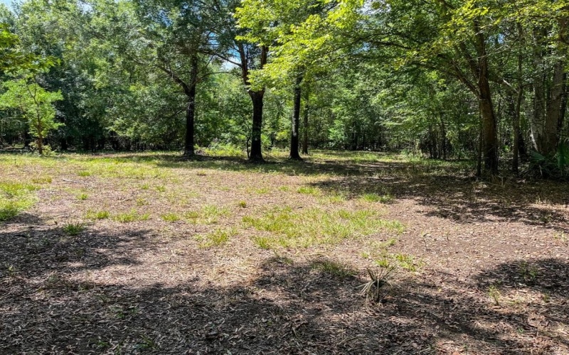0 Private Road 1428, Centerville, TX 75833, ,Land,For Sale,0 Private Road 1428,0,21119611
