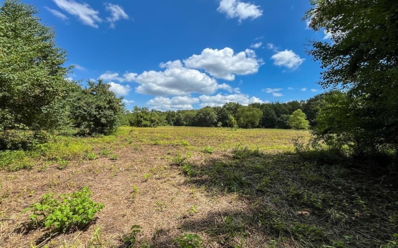 0 Private Road 1428, Centerville, TX 75833, ,Land,For Sale,0 Private Road 1428,0,21119611