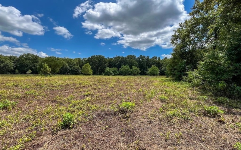 0 Private Road 1428, Centerville, TX 75833, ,Land,For Sale,0 Private Road 1428,0,21119611