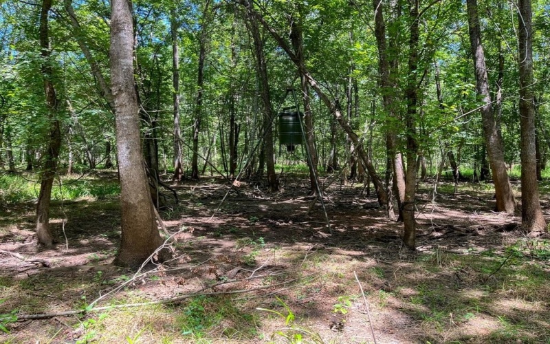 0 Private Road 1428, Centerville, TX 75833, ,Land,For Sale,0 Private Road 1428,0,21119611