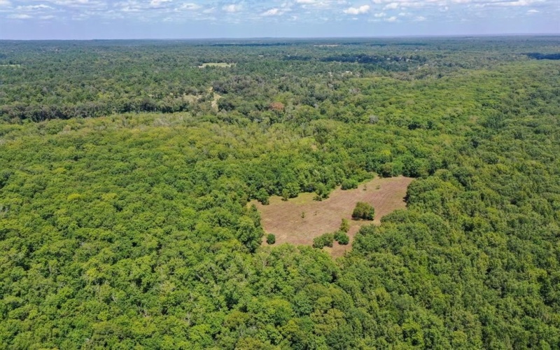 0 Private Road 1428, Centerville, TX 75833, ,Land,For Sale,0 Private Road 1428,0,21119611