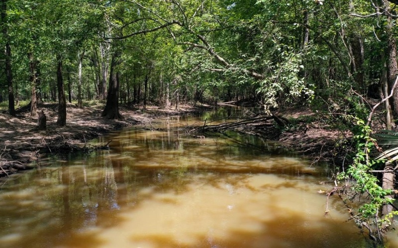 0 Private Road 1428, Centerville, TX 75833, ,Land,For Sale,0 Private Road 1428,0,21119611