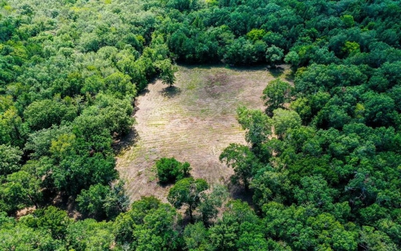 0 Private Road 1428, Centerville, TX 75833, ,Land,For Sale,0 Private Road 1428,0,21119611