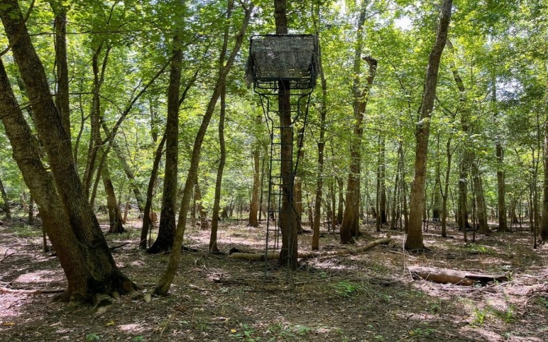 0 Private Road 1428, Centerville, TX 75833, ,Land,For Sale,0 Private Road 1428,0,21119611