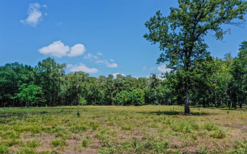 0 Private Road 1428, Centerville, TX 75833, ,Land,For Sale,0 Private Road 1428,0,21119611