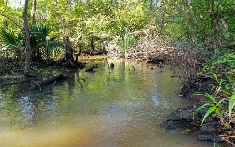 0 Private Road 1428, Centerville, TX 75833, ,Land,For Sale,0 Private Road 1428,0,21119611