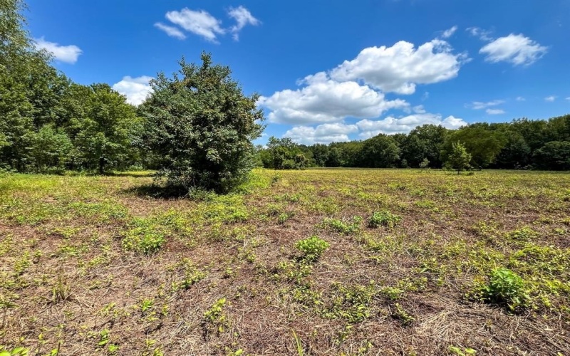 0 Private Road 1428, Centerville, TX 75833, ,Land,For Sale,0 Private Road 1428,0,21119611
