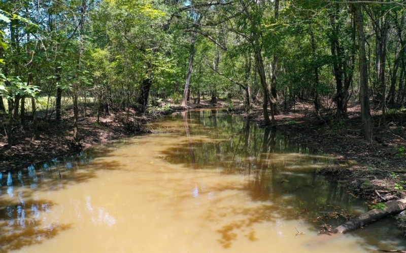 0 Private Road 1428, Centerville, TX 75833, ,Land,For Sale,0 Private Road 1428,0,21119611