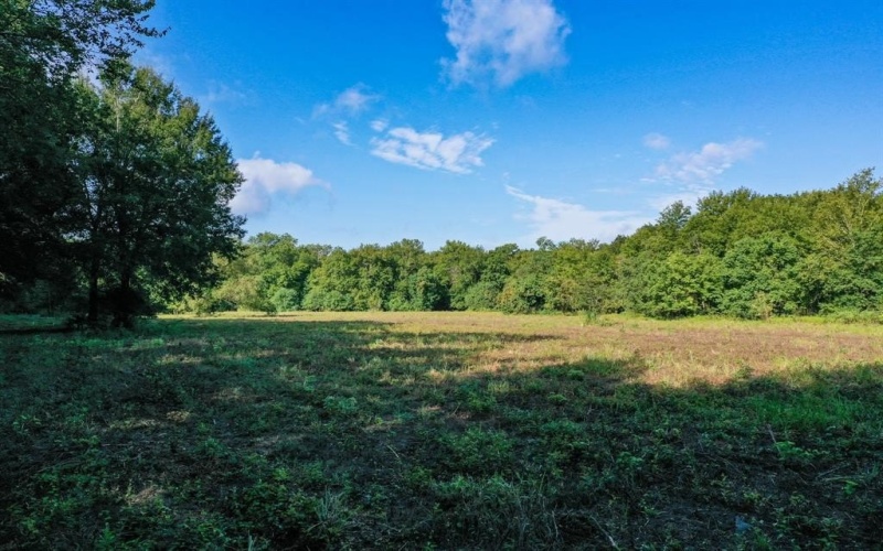 0 Private Road 1428, Centerville, TX 75833, ,Land,For Sale,0 Private Road 1428,0,21119611