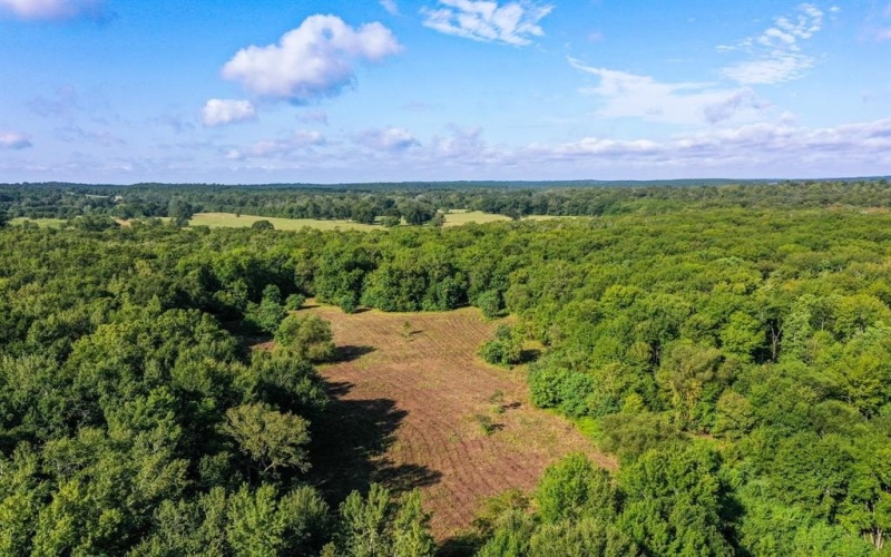 0 Private Road 1428, Centerville, TX 75833, ,Land,For Sale,0 Private Road 1428,0,21119611