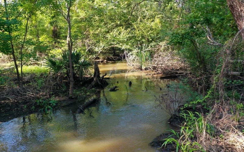 0 Private Road 1428, Centerville, TX 75833, ,Land,For Sale,0 Private Road 1428,0,21119611