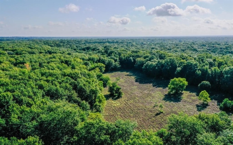 0 Private Road 1428, Centerville, TX 75833, ,Land,For Sale,0 Private Road 1428,0,21119611