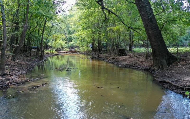 0 Private Road 1428, Centerville, TX 75833, ,Land,For Sale,0 Private Road 1428,0,21119611