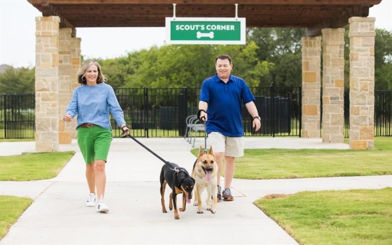 4312 Clydesdale Drive, Aubrey, TX 76227, 4 Bedrooms Bedrooms, ,3 BathroomsBathrooms,Residential,For Sale,4312 Clydesdale Drive,0,21119264