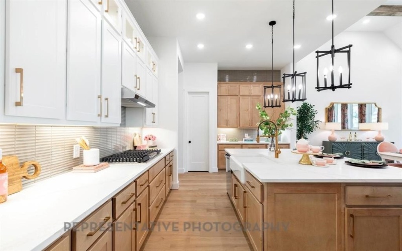 2224 Garnet Drive, Waxahachie, TX 75167, 4 Habitaciones Habitaciones , ,3 BañosBaños,Residential,En Venta,2224 Garnet Drive,0,21119933