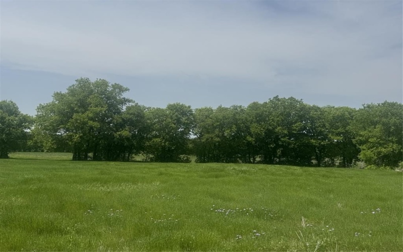 418 Private Road 4512, Decatur, TX 76234, 4 Bedrooms Bedrooms, ,3 BathroomsBathrooms,Residential,For Sale,418 Private Road 4512,0,21095601