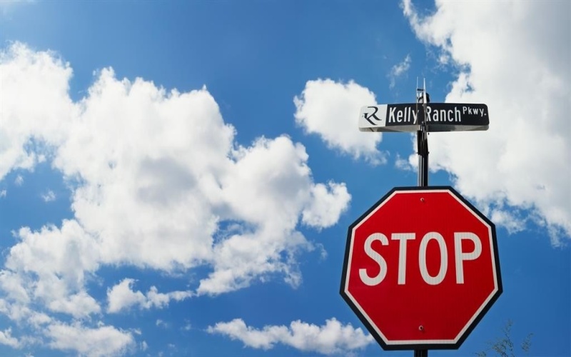 316 Manza Court, Aledo, TX 76008, 5 Bedrooms Bedrooms, ,6 BathroomsBathrooms,Residential,For Sale,316 Manza Court,0,21120911