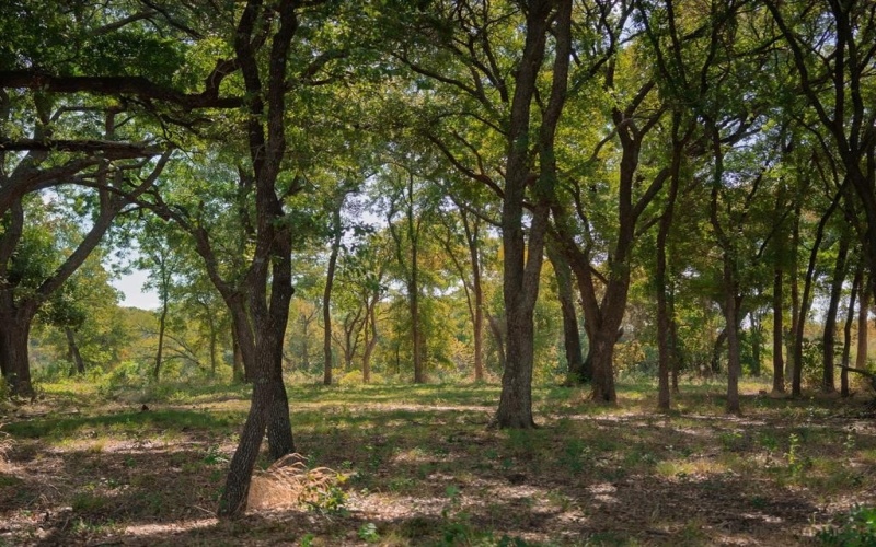 316 Manza Court, Aledo, TX 76008, 5 Bedrooms Bedrooms, ,6 BathroomsBathrooms,Residential,For Sale,316 Manza Court,0,21120911