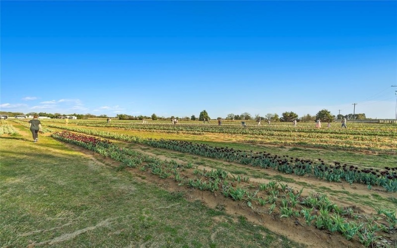 14112 Zealand Drive, Pilot Point, TX 76258, 4 Bedrooms Bedrooms, ,2 BathroomsBathrooms,Residential,For Sale,14112 Zealand Drive,0,21110313