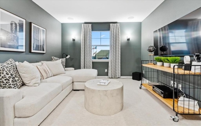 1210 Terrain Lane, Midlothian, TX 76065, 4 Bedrooms Bedrooms, ,3 BathroomsBathrooms,Residential,For Sale,1210 Terrain Lane,0,21122543