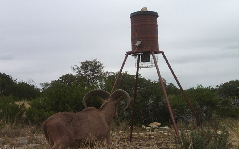 Other, Leakey, TX 78873, ,Residential,For Sale, Other,0,120991