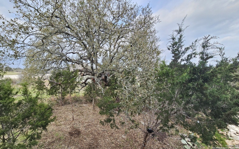 1501 Tramonto, New Braunfels, TX 78132, 4 Bedrooms Bedrooms, ,3 BathroomsBathrooms,Residential,For Sale,1501 Tramonto,0,1846978