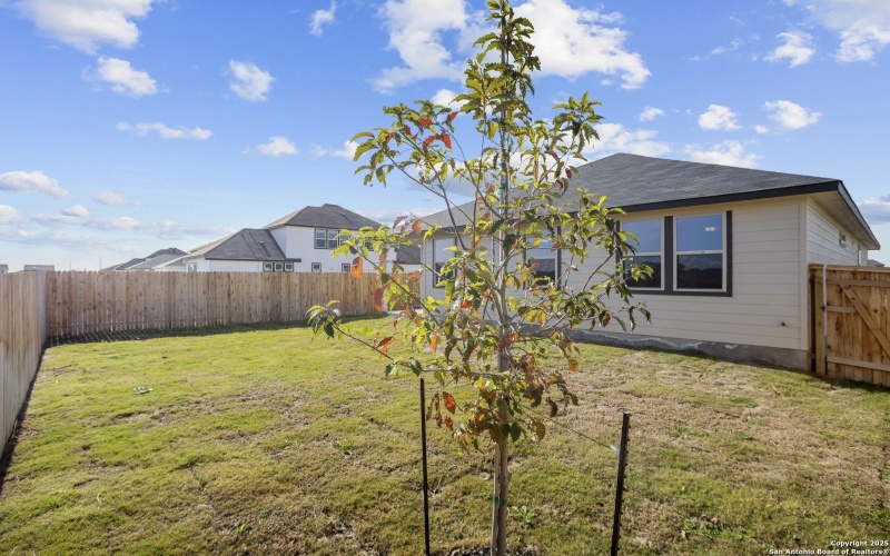 3808 Isaac Dr, Seguin, TX 78155, 3 Bedrooms Bedrooms, ,2 BathroomsBathrooms,Residential,For Sale,3808 Isaac Dr,0,1879744