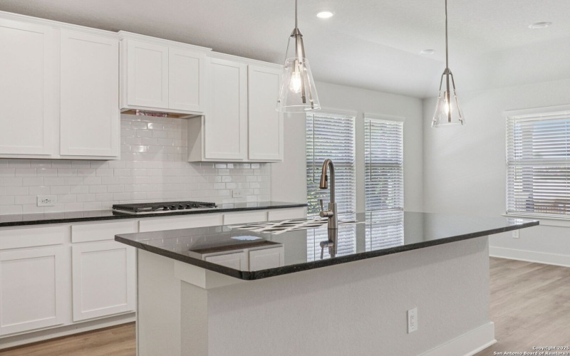 17114 Autry Falls, San Antonio, TX 78247, 4 Bedrooms Bedrooms, ,3 BathroomsBathrooms,Residential,For Sale,17114 Autry Falls,0,1896847