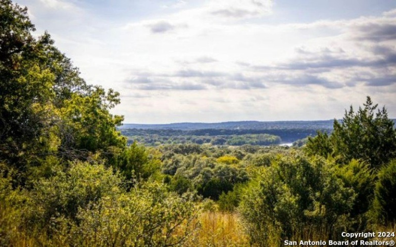 523 Rio Ridge Pkwy, Spring Branch, TX 78070, 4 Bedrooms Bedrooms, ,5 BathroomsBathrooms,Residential,For Sale,523 Rio Ridge Pkwy,0,1790282