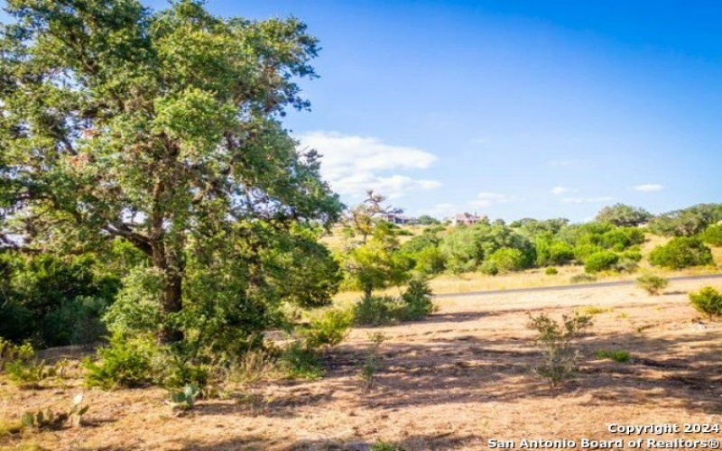 523 Rio Ridge Pkwy, Spring Branch, TX 78070, 4 Bedrooms Bedrooms, ,5 BathroomsBathrooms,Residential,For Sale,523 Rio Ridge Pkwy,0,1790282