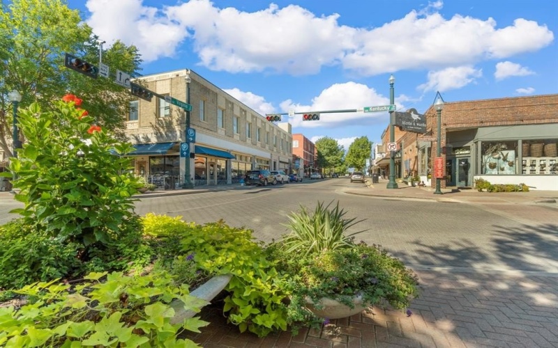 441 Forsyth Drive, Princeton, TX 75407, 4 Bedrooms Bedrooms, ,2 BathroomsBathrooms,Residential,For Sale,441 Forsyth Drive,0,21125145