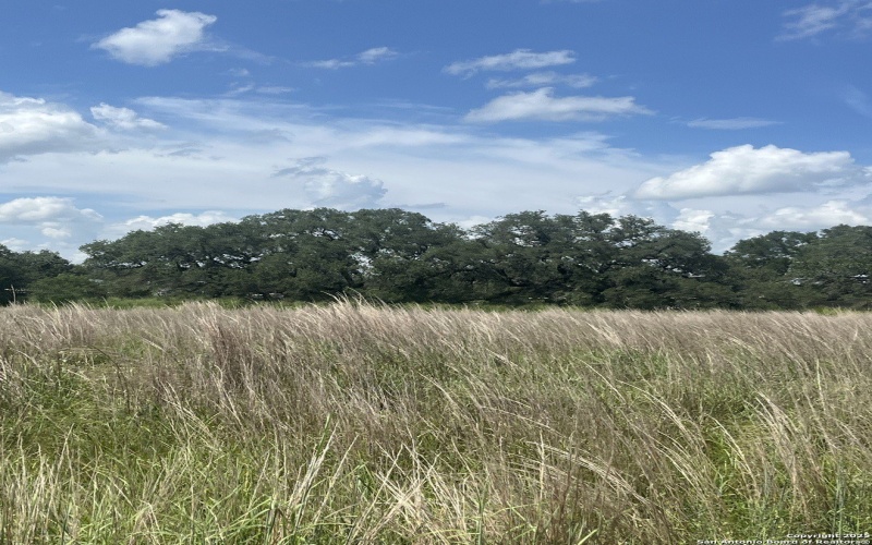 Fm 476 lot: 14 10392, Poteet, TX 78065, 3 Habitaciones Habitaciones , ,2 BañosBaños,Residential,En Venta,Fm 476 lot: 14 10392,0,1895094