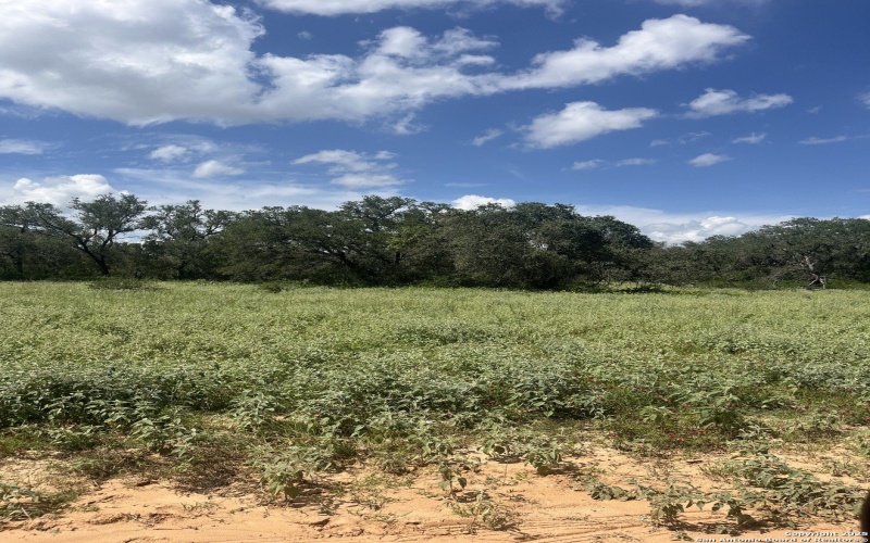 Fm 476 lot: 14 10392, Poteet, TX 78065, 3 Habitaciones Habitaciones , ,2 BañosBaños,Residential,En Venta,Fm 476 lot: 14 10392,0,1895094